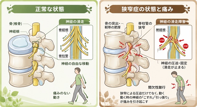 東戸塚の整体ならNORIIリハビリ整体院