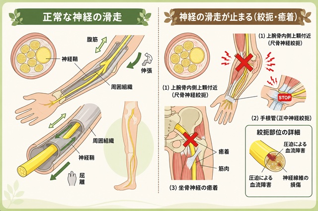 東戸塚の整体ならNORIIリハビリ整体院