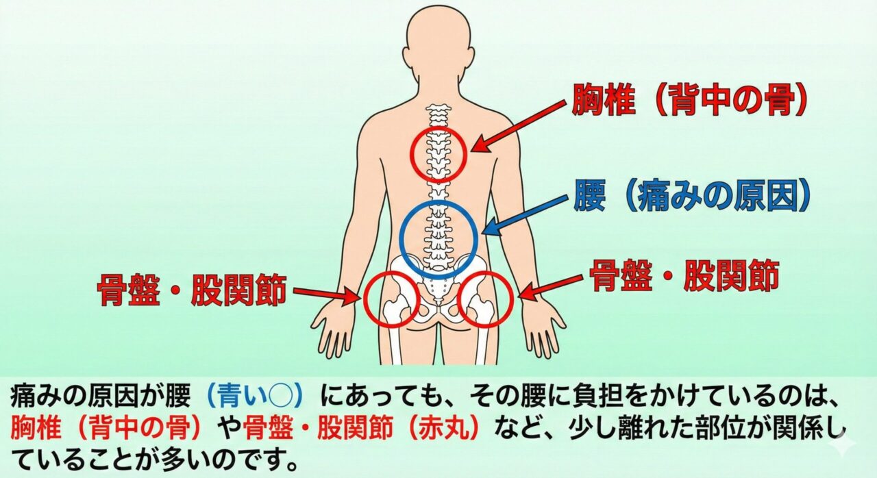 脊柱管狭窄症の原因と症状
